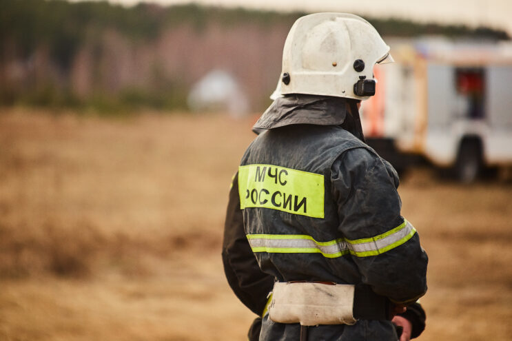 В Тверской области загорелась лесная подстилка В Тверской области загорелась лесная подстилка