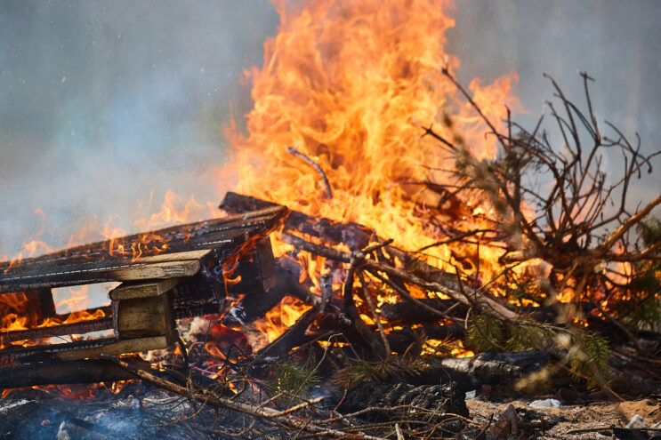 Россельхознадзор предупреждает о приближении пожароопасного периода