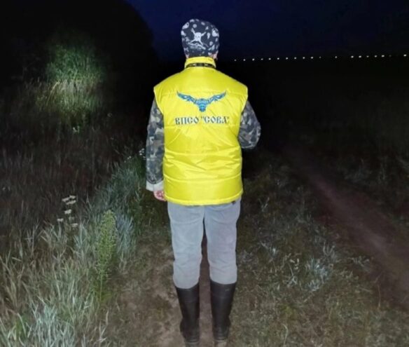 Тверской области