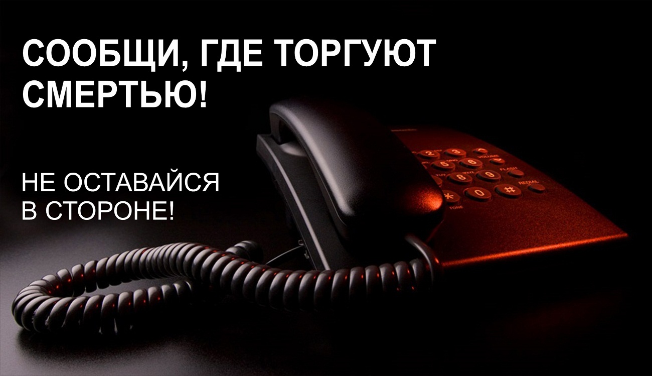 В Тверской области продолжается акция «Сообщи, где торгуют смертью!» В Тверской области продолжается акция «Сообщи, где торгуют смертью!»