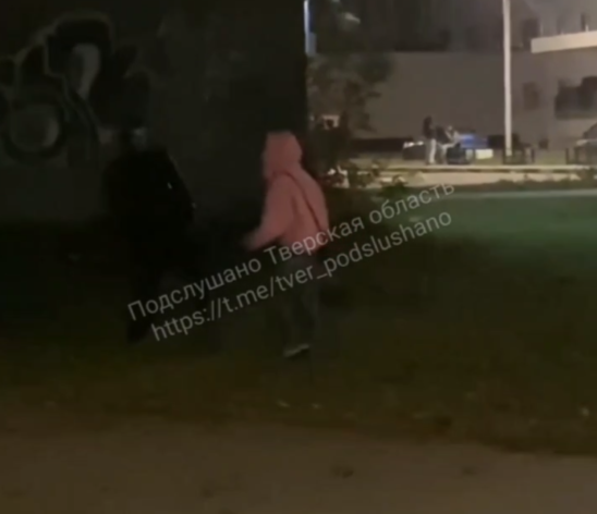 Правоохранители заинтересовались дракой подростков в Тверской области Правоохранители заинтересовались дракой подростков в Тверской области