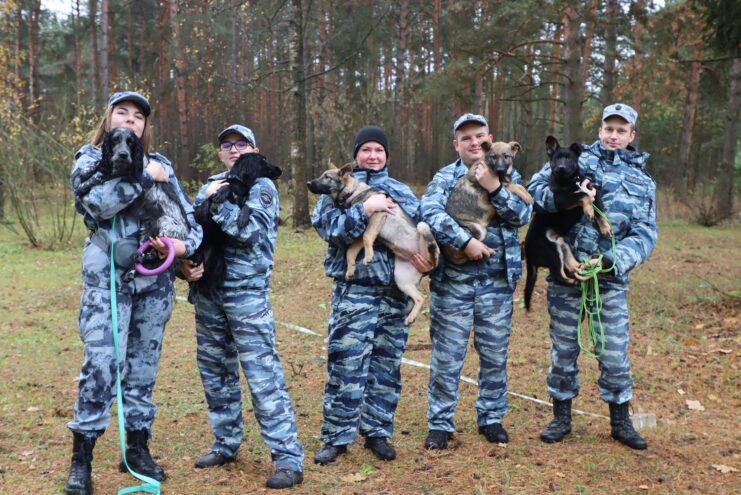 В Тверской области пять щенков обучаются основам "профессии" в Центре кинологической службы МВД В Тверской области пять щенков обучаются основам "профессии" в Центре кинологической службы МВД