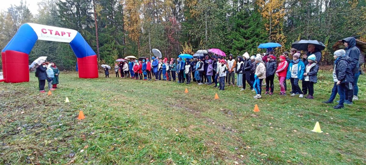 На лыжной трассе в Вышневолоцком округе провели кросс На лыжной трассе в Вышневолоцком округе провели кросс