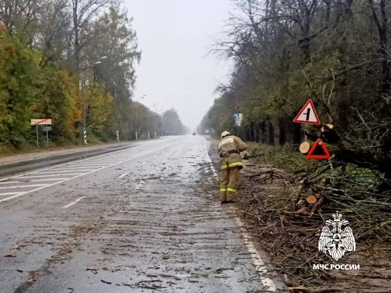 В Тверской области на дорогу упало дерево В Тверской области на дорогу упало дерево