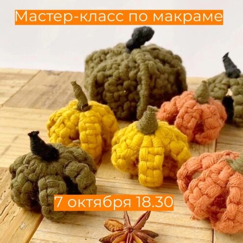 В тверском котокафе сделают тыковку в технике макраме