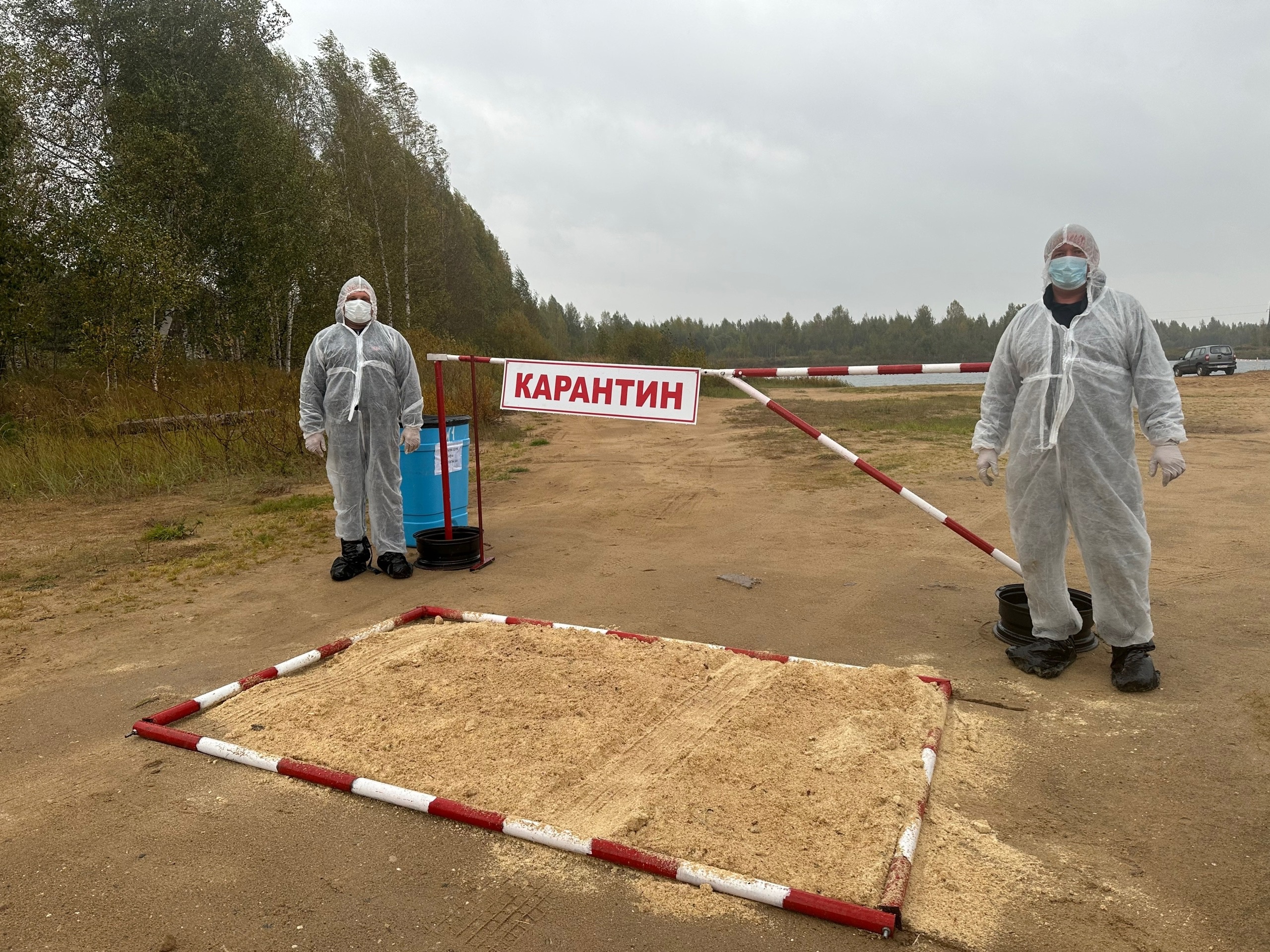 В Лихославле придумали и ликвидировали очаг опасного птичьего гриппа В Лихославле придумали и ликвидировали очаг опасного птичьего гриппа