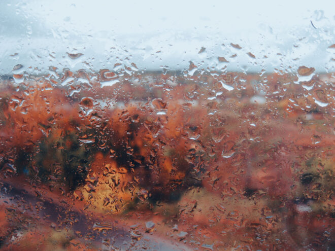 Жителям Тверской области пообещали дождливое воскресенье