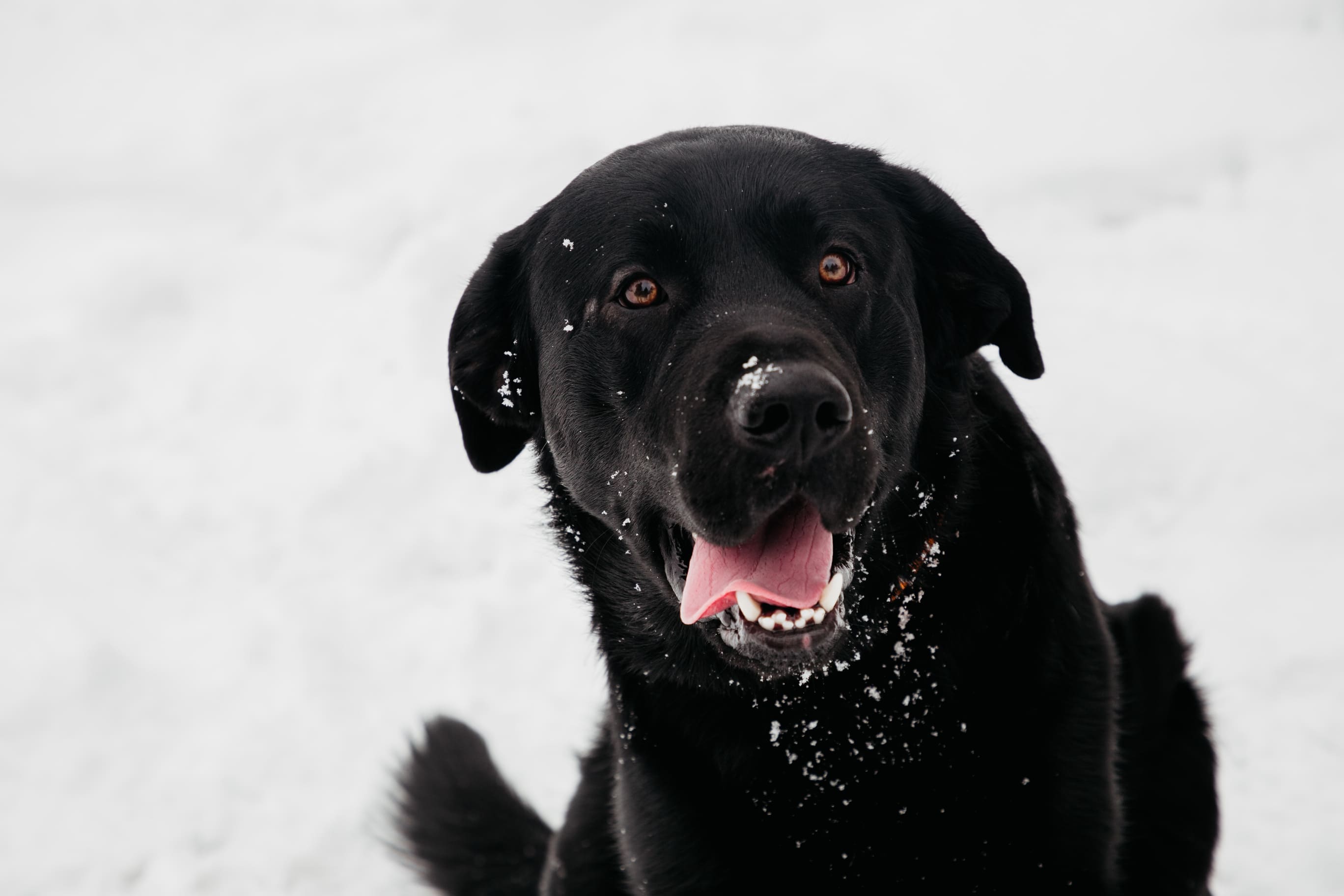 Фотолайфхак: Динамика и статика