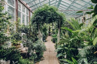 Ботанический сад Твери отмечает 149-й день рождения Ботанический сад Твери отмечает 149-й день рождения