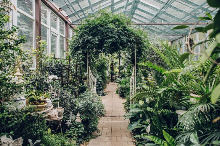 Ботанический сад Твери отмечает 149-й день рождения