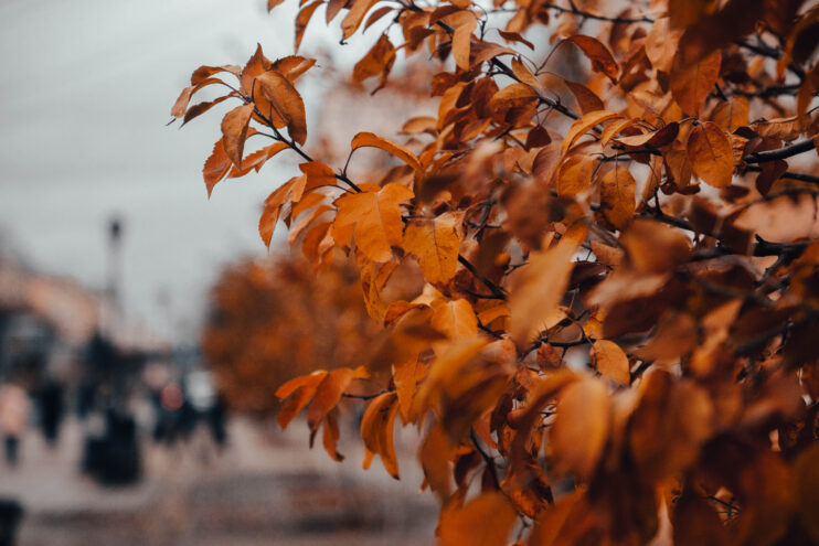 Жителей Тверской области ждет пасмурная пятница Жителей Тверской области ждет пасмурная пятница
