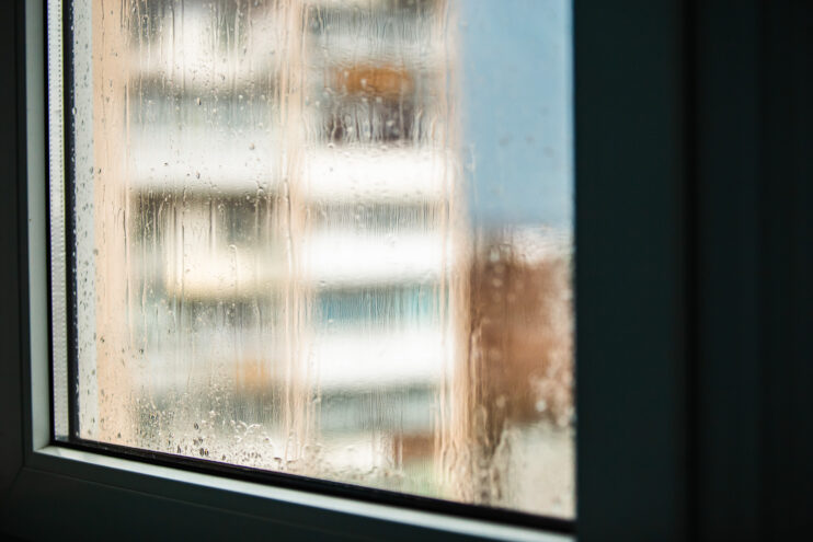 По Тверской области пройдут грибные дожди По Тверской области пройдут грибные дожди