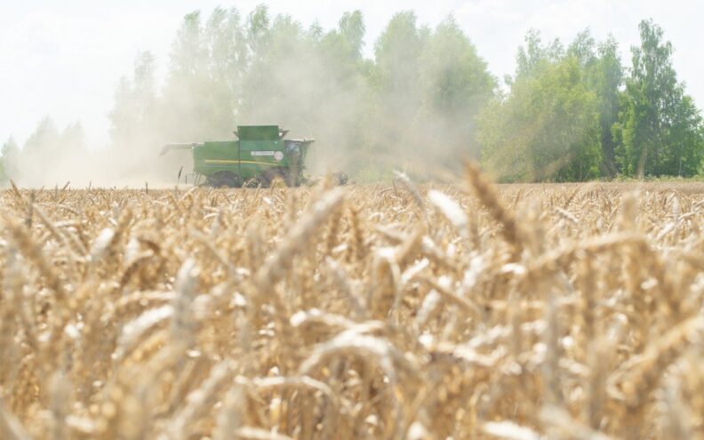 Игорь Руденя поздравил работников сельского хозяйства и перерабатывающей промышленности с профессиональным праздником