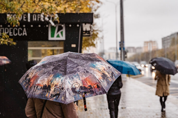 В субботу в Тверской области будет дождливо В субботу в Тверской области будет дождливо