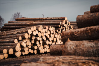 Жителя Тверской области наказали за незаконную рубку на 8 миллионов рублей