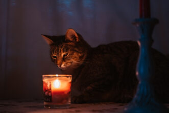 Приметы: Почему нельзя носить яркую одежду 15 октября