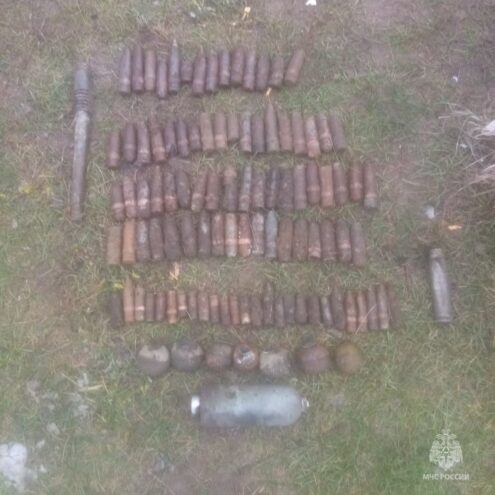 В Торопецком округе уничтожили 100 боеприпасов времен войны