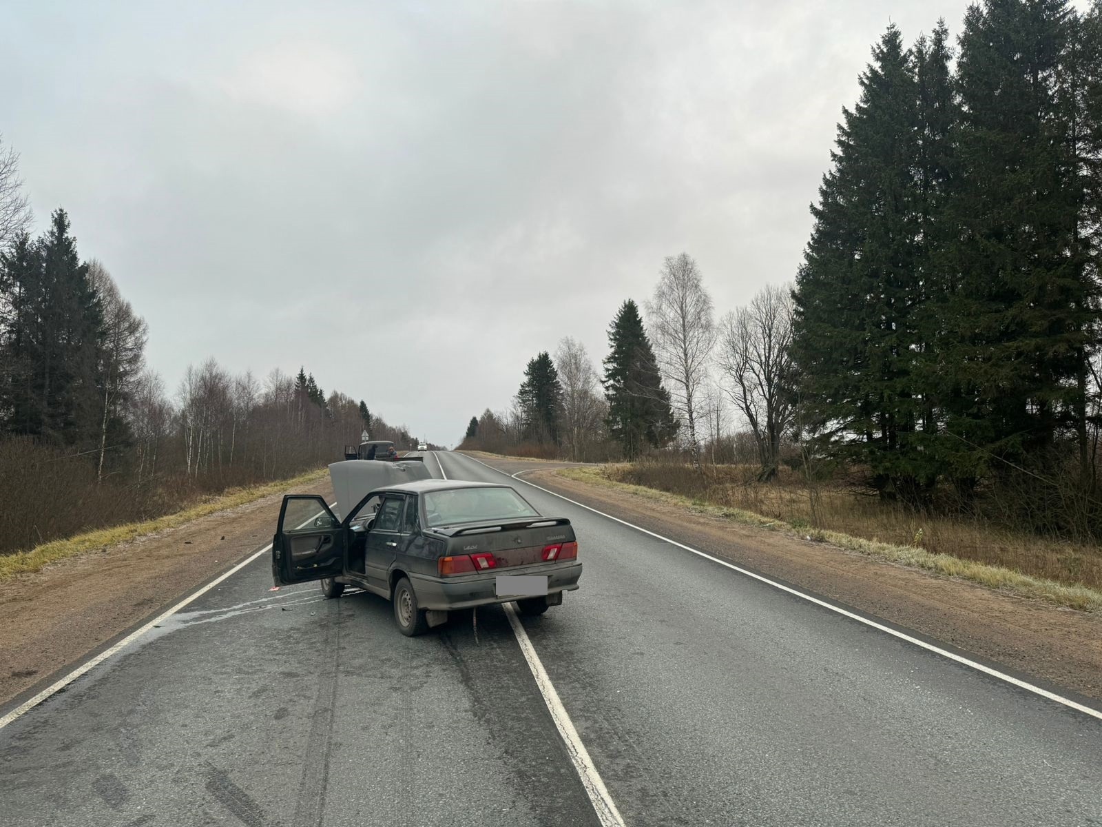 В Тверской области после встречи с лосём пострадали мужчина и ребёнок В Тверской области после встречи с лосём пострадали мужчина и ребёнок