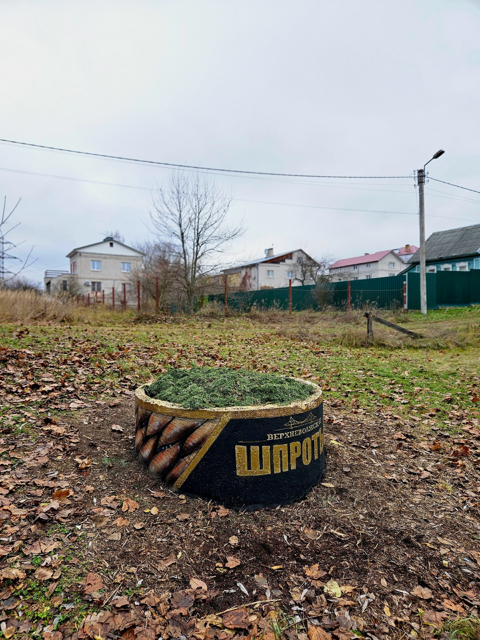 В Твери появился необычный арт-объект