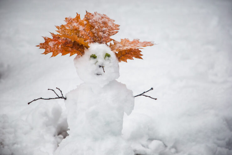 В воскресенье Тверская область передохнёт от снежного циклона В воскресенье Тверская область передохнёт от снежного циклона
