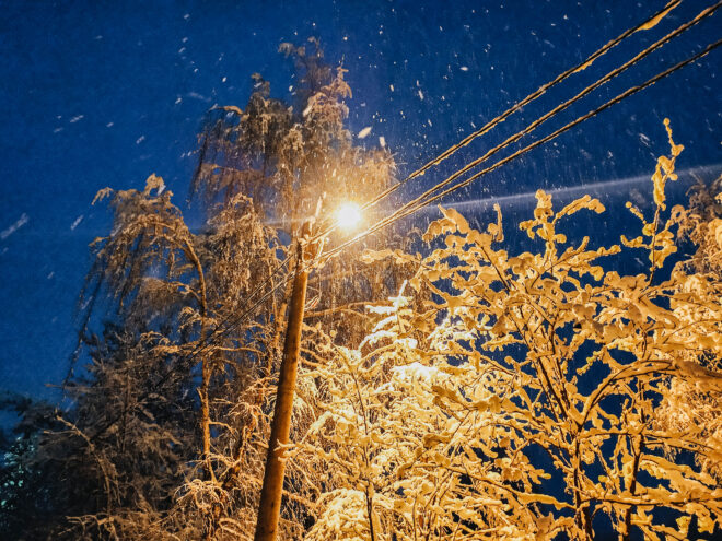 В субботу в Тверской области будет снежно В субботу в Тверской области будет снежно