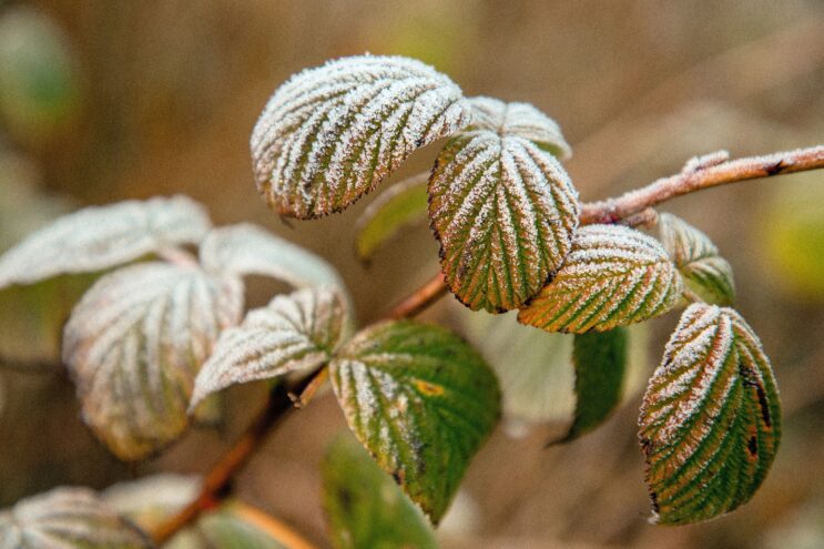 На территории Тверской области вновь выпадут осадки