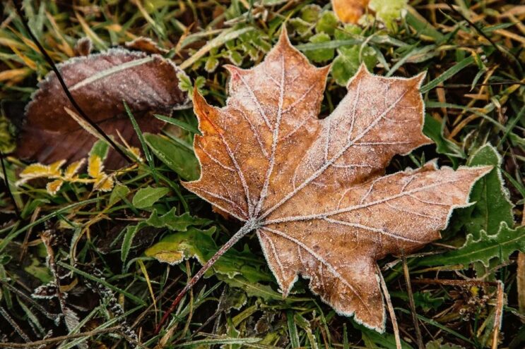 В Тверской области вновь похолодает