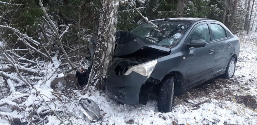 В Тверской области женщина на иномарке врезалась в дерево