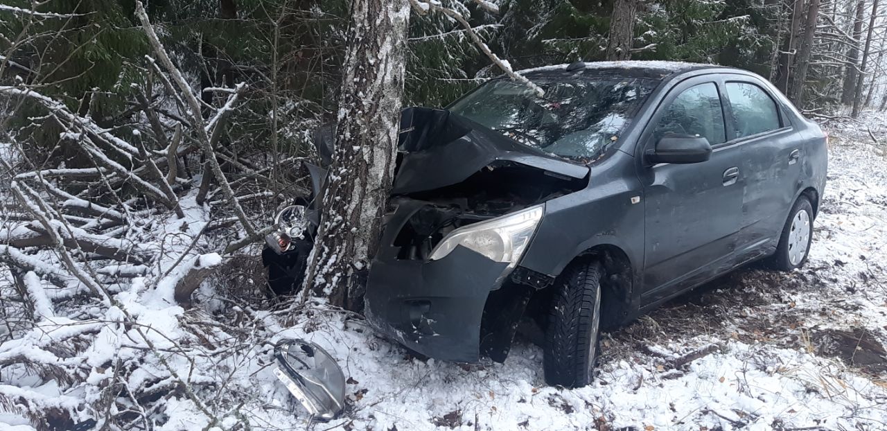 В Тверской области женщина на иномарке врезалась в дерево В Тверской области женщина на иномарке врезалась в дерево