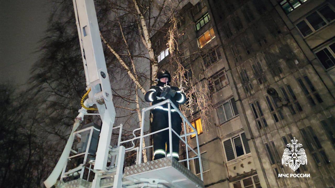 Сотрудники МЧС помогли жителю Твери вернуть кота домой Сотрудники МЧС помогли жителю Твери вернуть кота домой