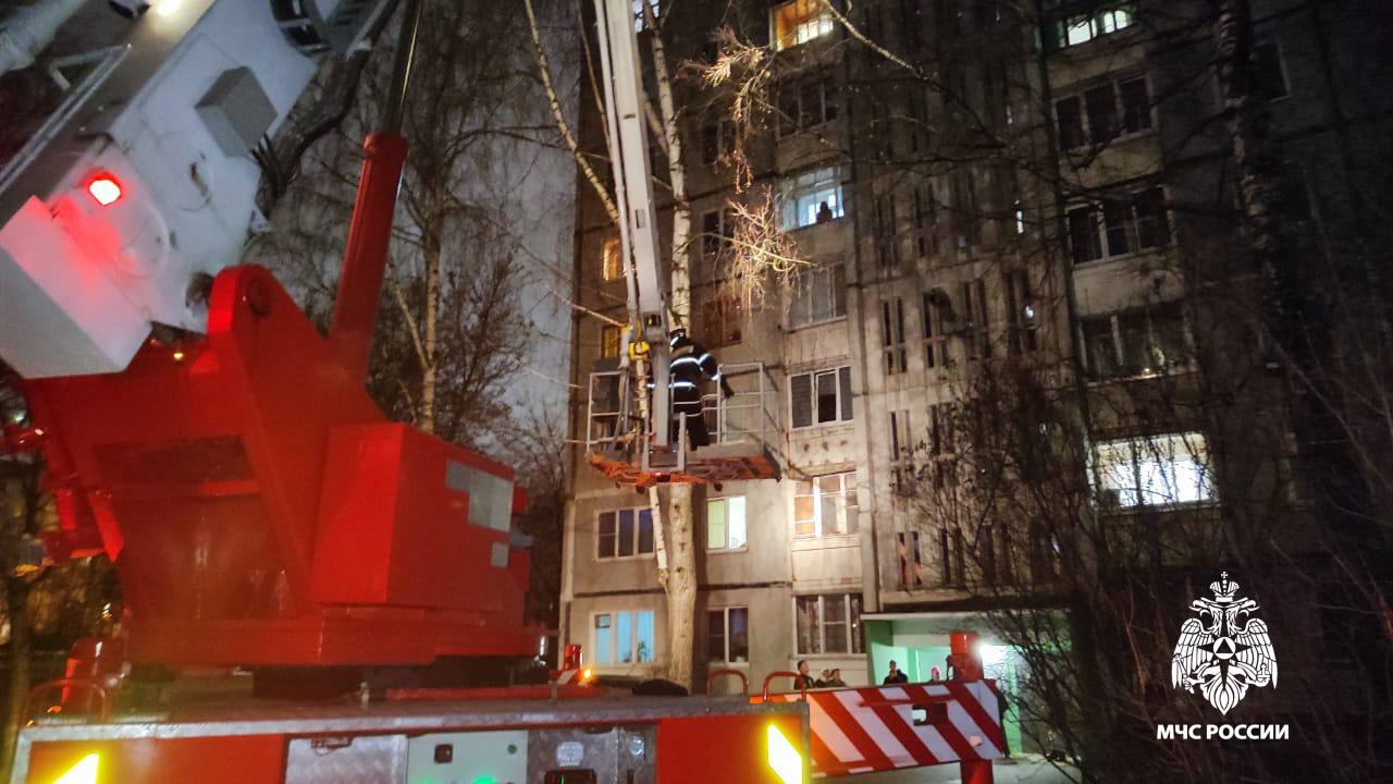 Сотрудники МЧС помогли жителю Твери вернуть кота домой