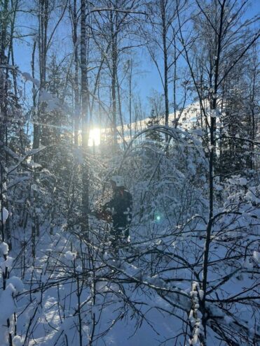 В Тверской области восстанавливать электроснабжение помогают энергетики из других регионов