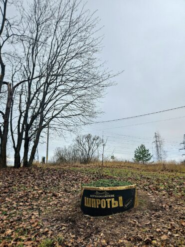 В Твери появился необычный арт-объект