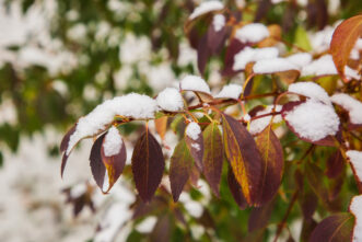 Приметы: Почему 24 ноября нельзя лениться