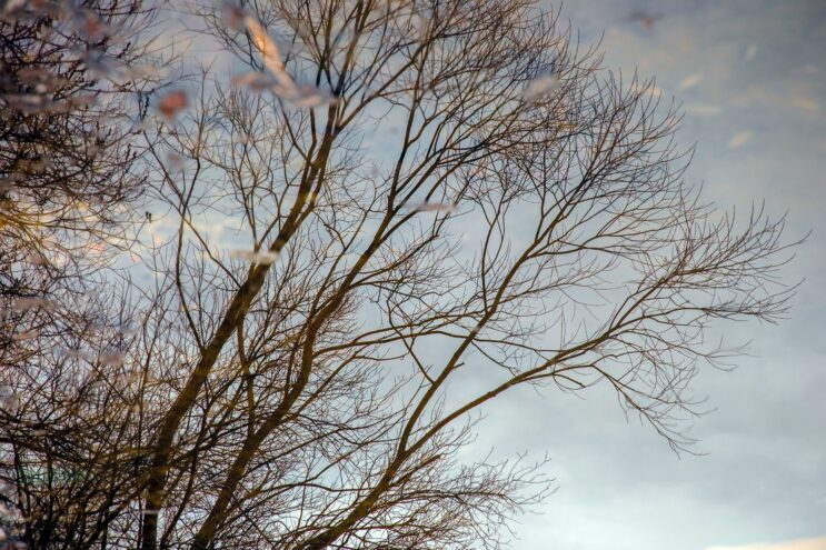 Приметы: почему 29 ноября нельзя долго смотреть в зеркало Приметы: почему 29 ноября нельзя долго смотреть в зеркало