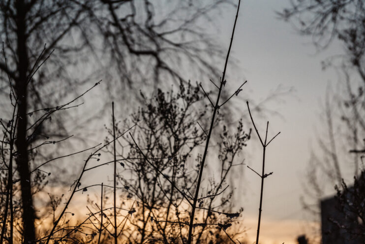 В Тверской области станет холоднее В Тверской области станет холоднее