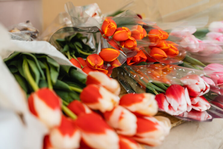 В Тверской области труженице тыла Зое Платоновне Ковако исполнился 101 год В Тверской области труженице тыла Зое Платоновне Ковако исполнился 101 год