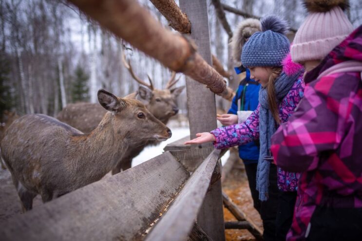 Тверской области