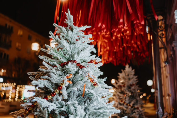 Как в Тверской области будут праздновать Новый год