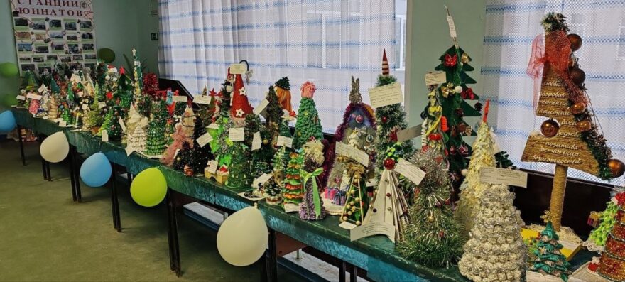 В Тверской области подвели итоги экоакции «Ёлочка-2024» В Тверской области подвели итоги экоакции «Ёлочка-2024»