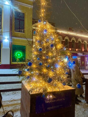 В Кирове появилась новогодняя ёлка из Тверской области В Кирове появилась новогодняя ёлка из Тверской области