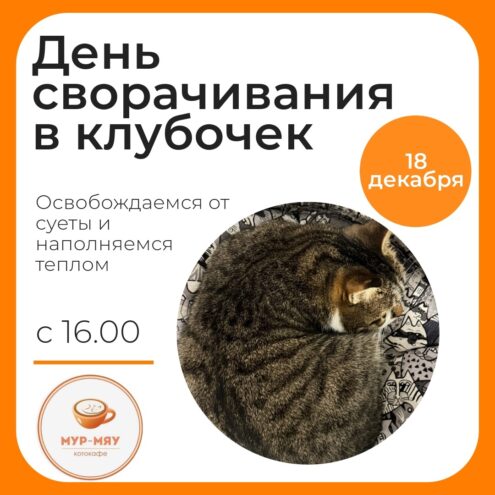 В тверском котокафе отметят День сворачивания в клубочек В тверском котокафе отметят День сворачивания в клубочек
