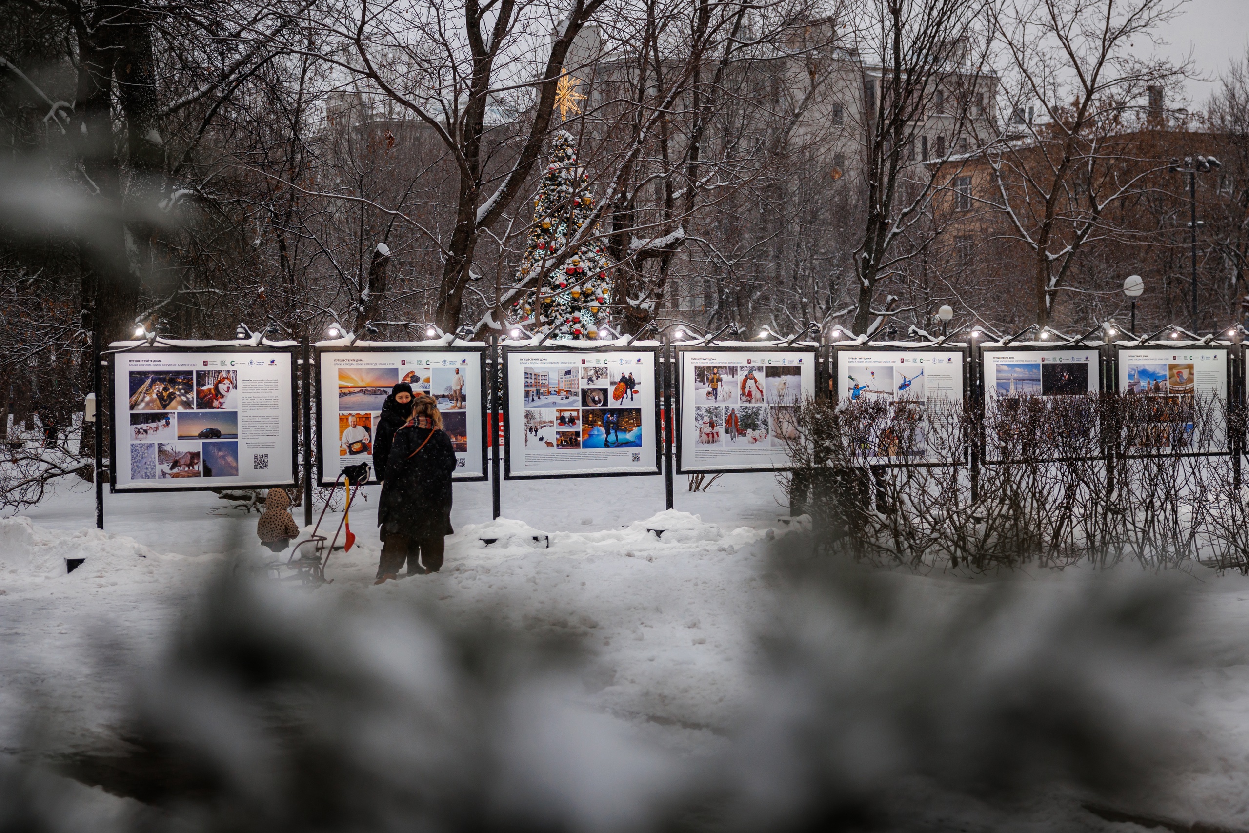В Москве в саду им. Баумана разместили выставку работ тверских фотографов В Москве в саду им. Баумана разместили выставку работ тверских фотографов