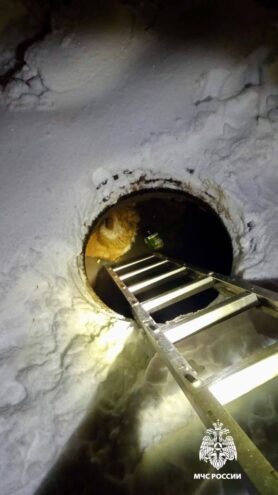 В Твери спасли угодившую в открытый люк собаку