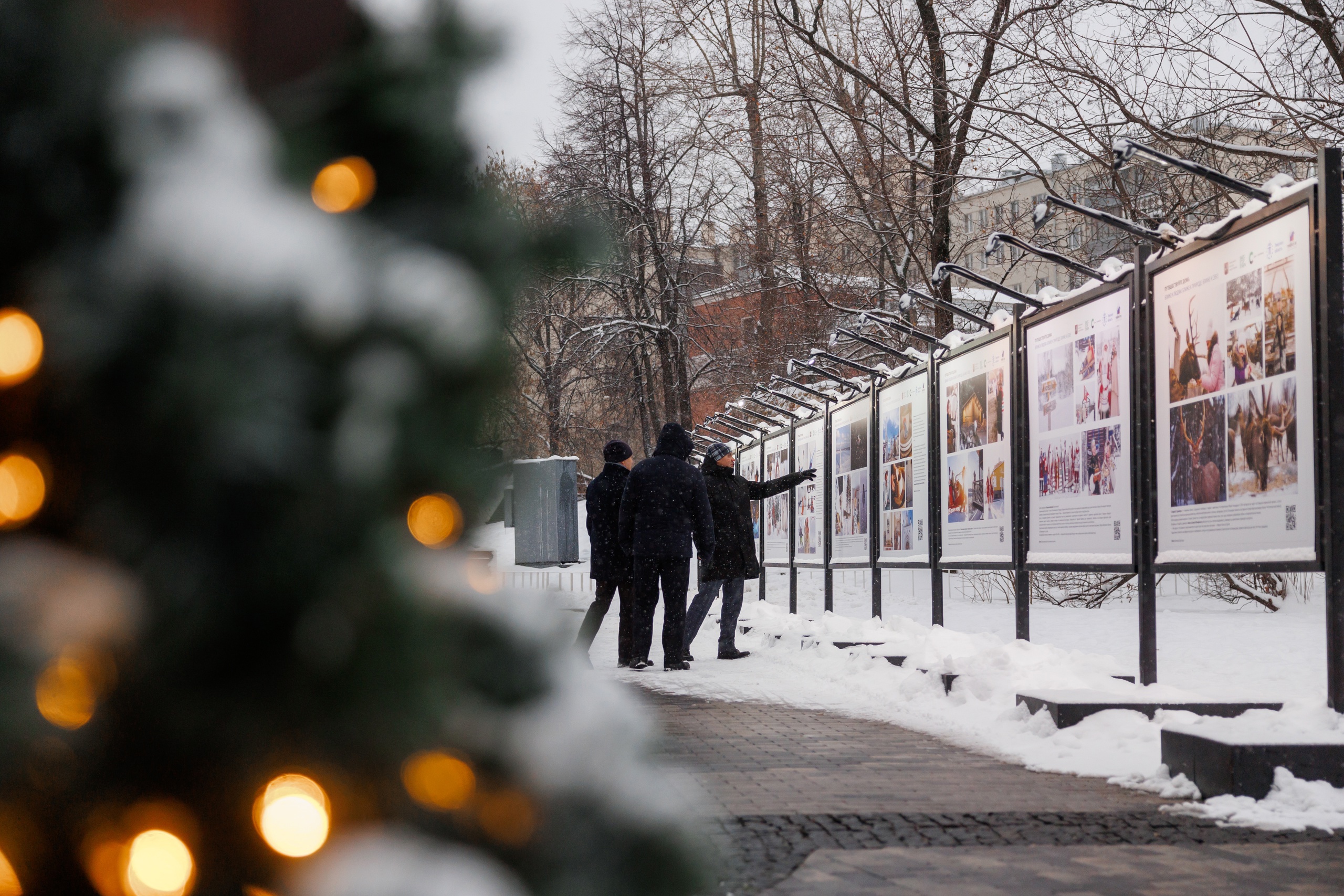 В Москве в саду им. Баумана разместили выставку работ тверских фотографов В Москве в саду им. Баумана разместили выставку работ тверских фотографов