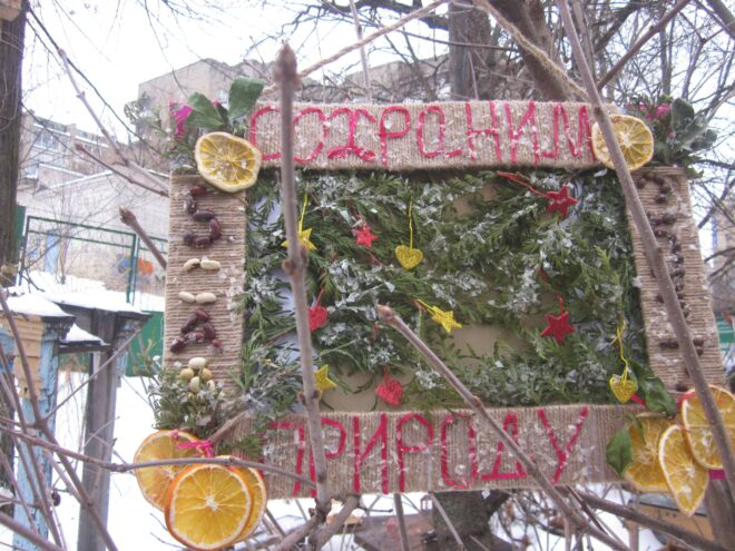 В тверском Ботаническом саду приглашают нарядить живые ёлочки к Новому году