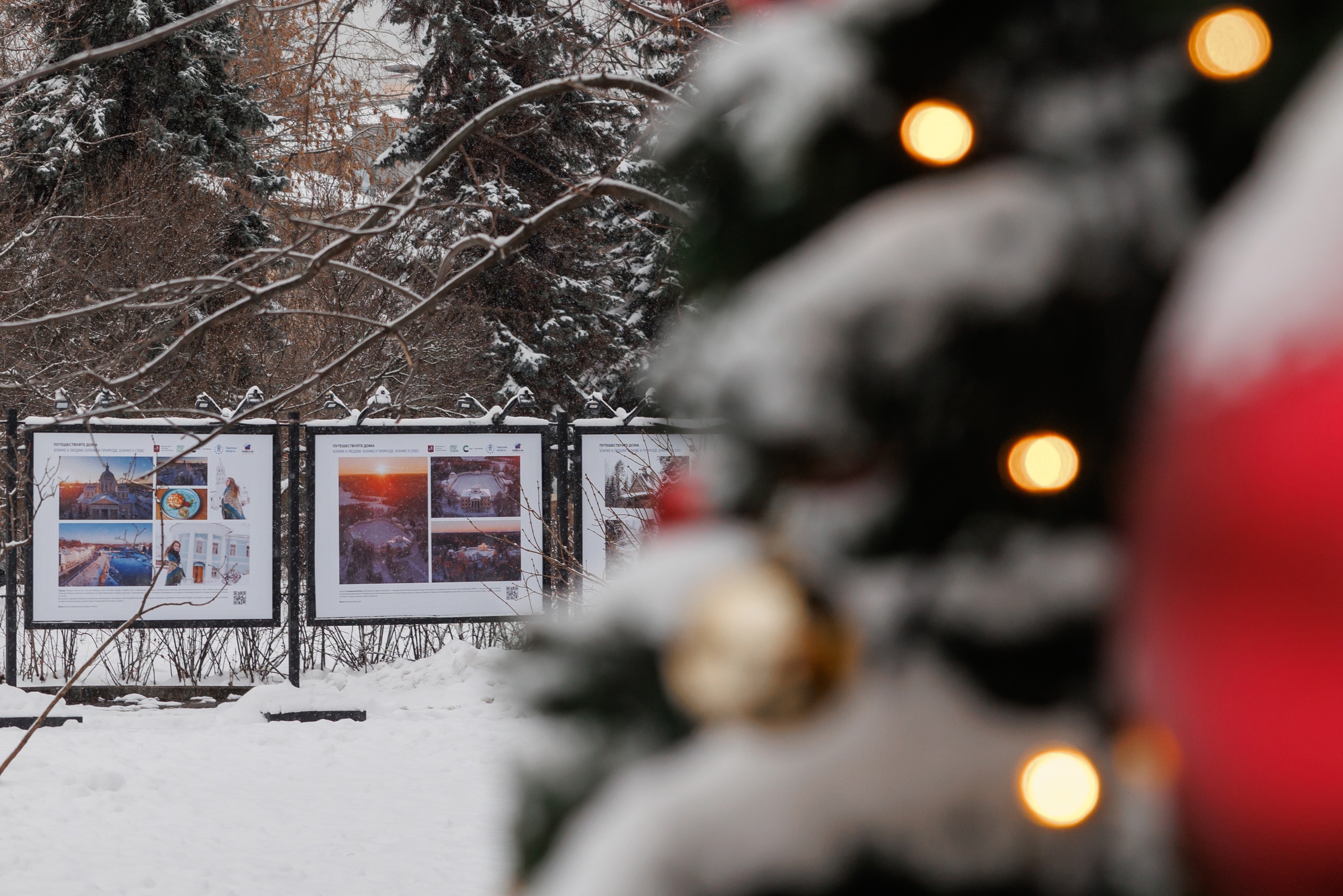 В Москве в саду им. Баумана разместили выставку работ тверских фотографов В Москве в саду им. Баумана разместили выставку работ тверских фотографов