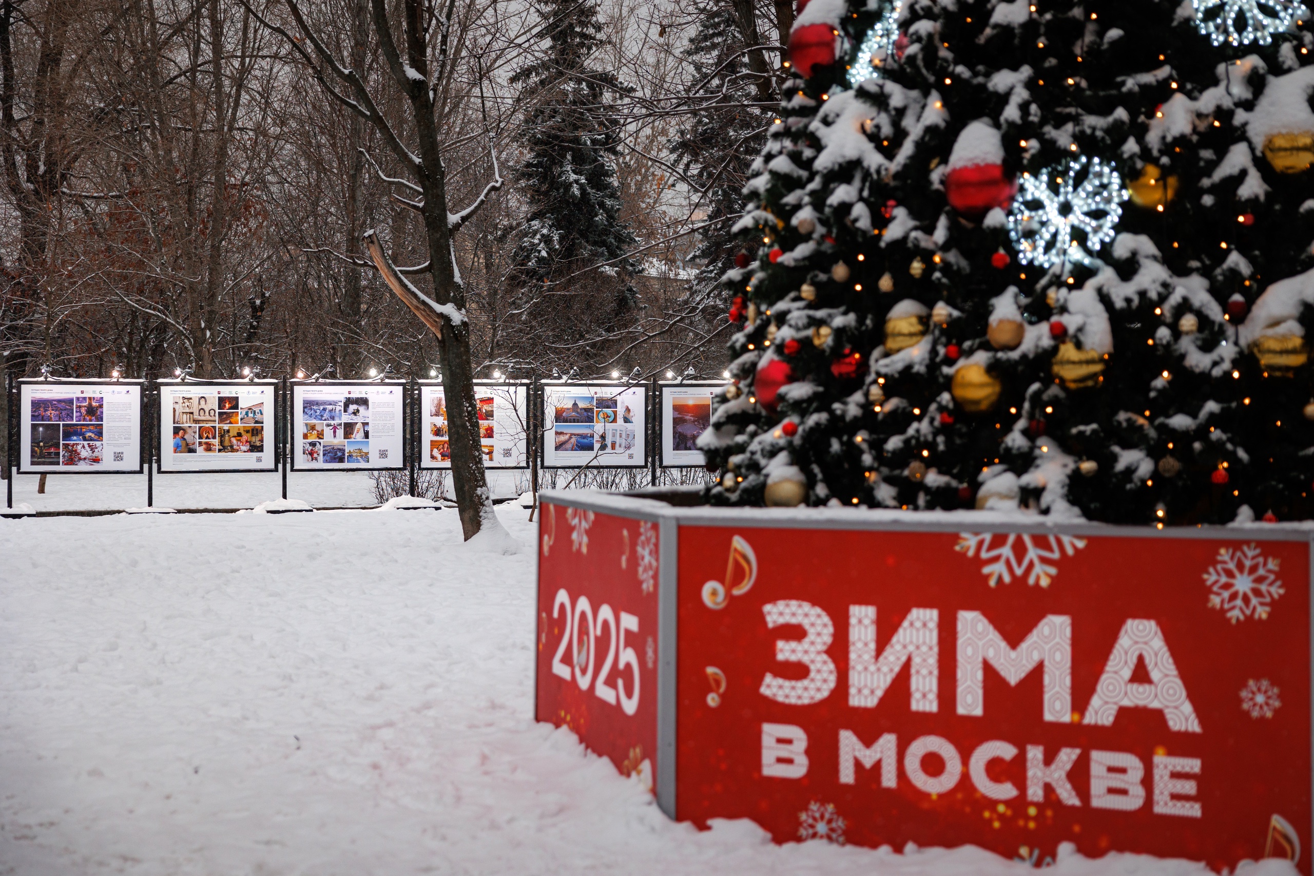 В Москве в саду им. Баумана разместили выставку работ тверских фотографов В Москве в саду им. Баумана разместили выставку работ тверских фотографов