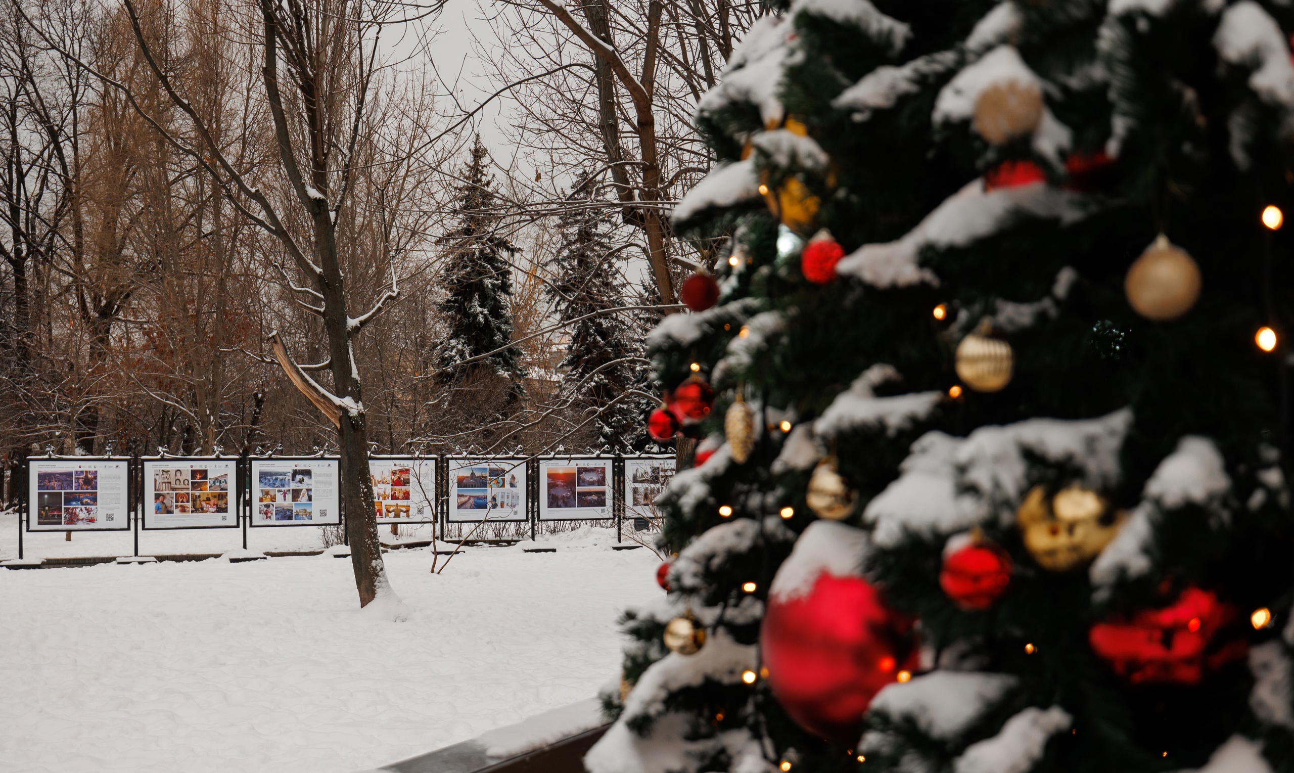 В Москве в саду им. Баумана разместили выставку работ тверских фотографов В Москве в саду им. Баумана разместили выставку работ тверских фотографов