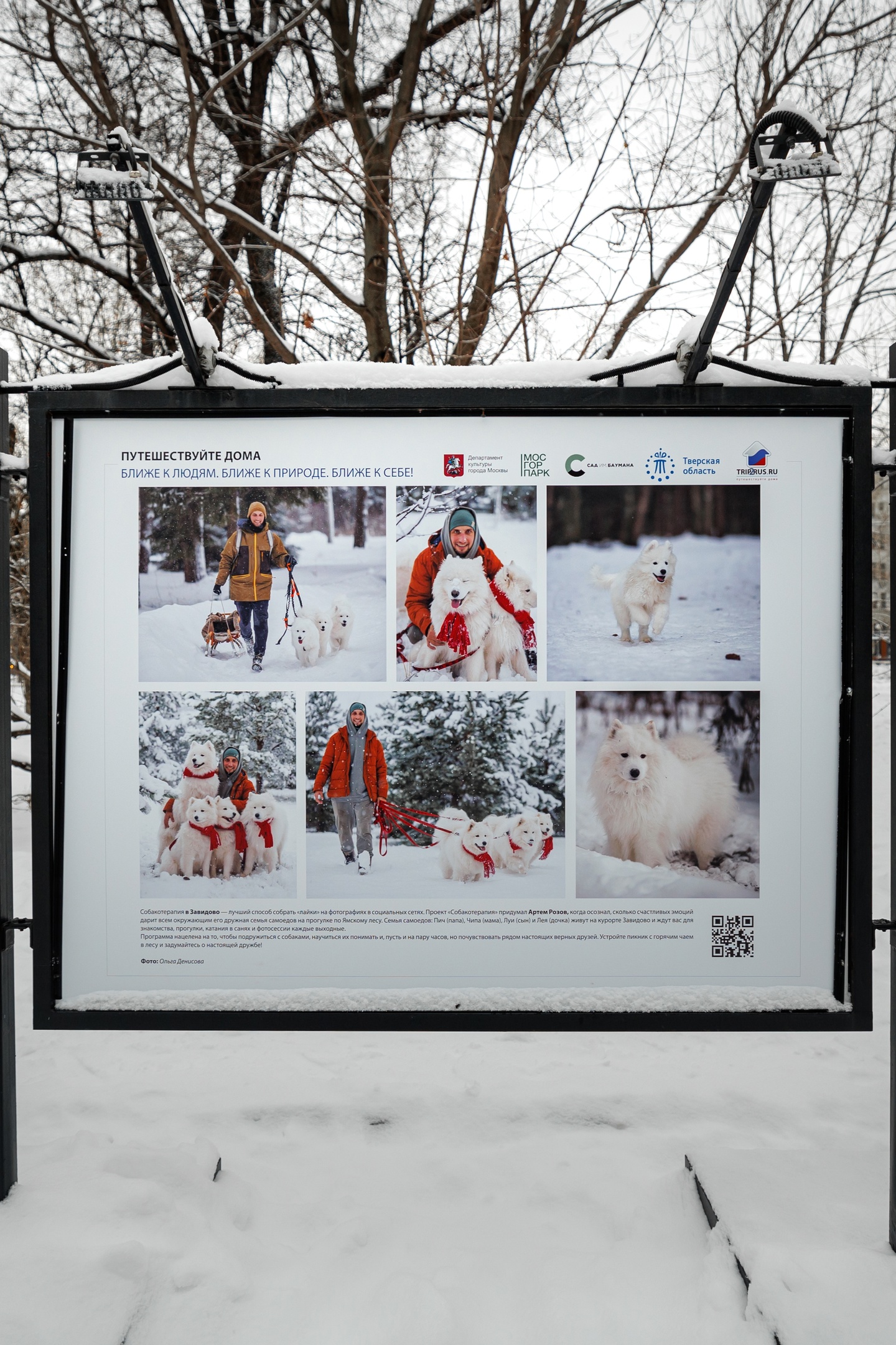 В Москве в саду им. Баумана разместили выставку работ тверских фотографов В Москве в саду им. Баумана разместили выставку работ тверских фотографов